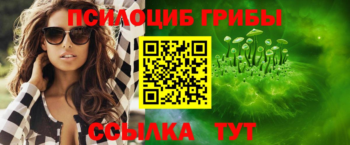 Псилоцибиновые грибы GOLDEN TEACHER Орехово-Зуево